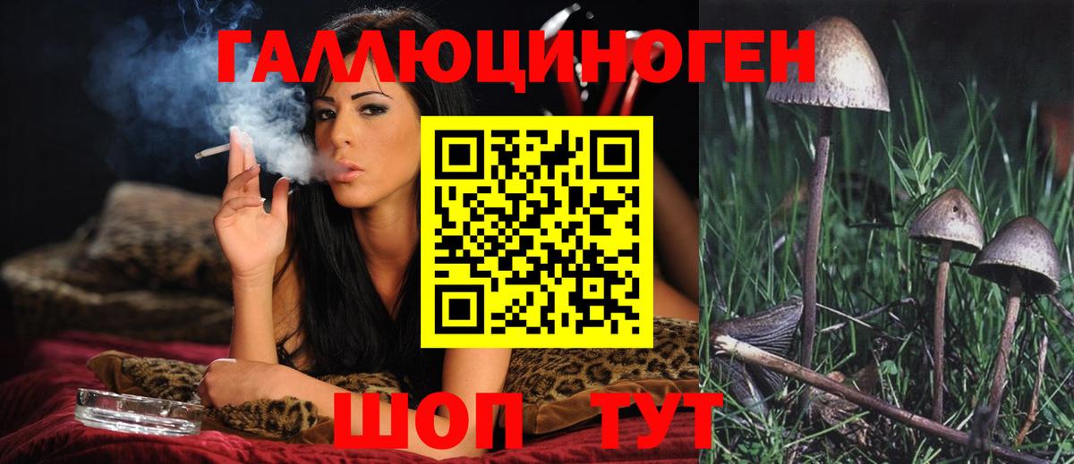 Кохма  Псилоцибиновые грибы Magic Shrooms  Псилоцибиновые грибы Psilocybe  Вход с VPN 