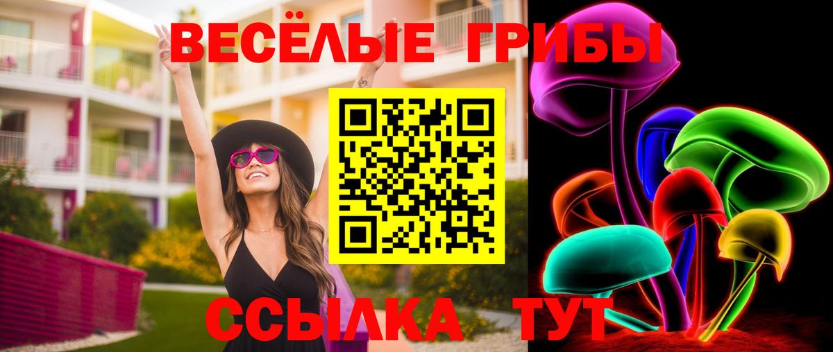 Псилоцибиновые грибы ЛСД Кохма