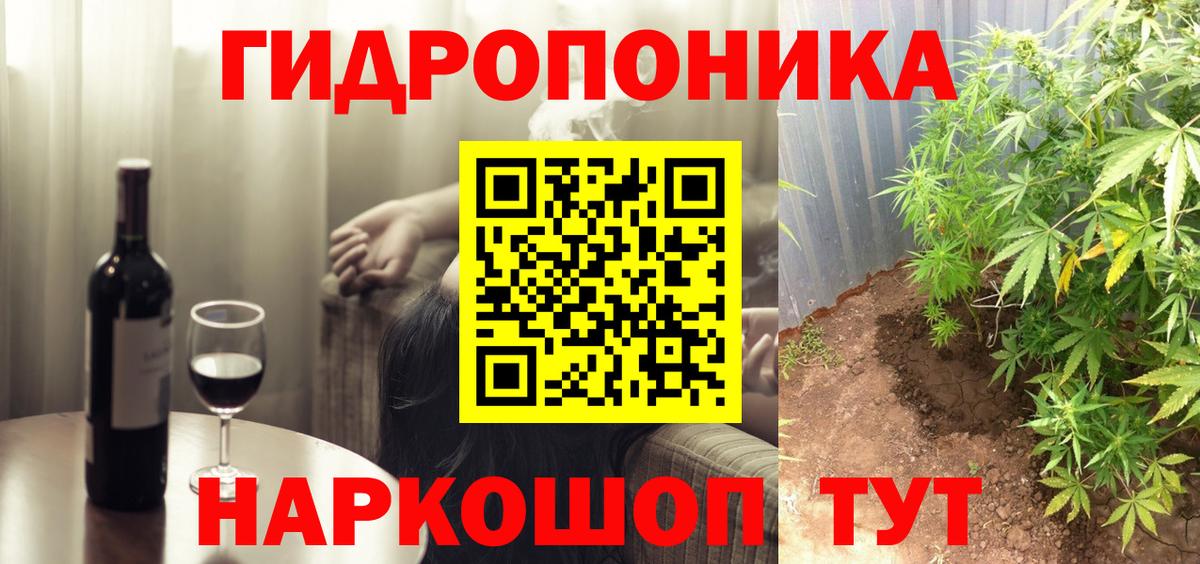 Канабис планчик Кохма